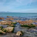 Appartement Primera Linea De Playa. Dénia